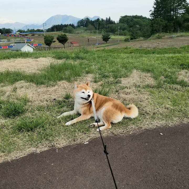 85c5fcef 0385 4466 990c 4524e4f17882 1621067694684