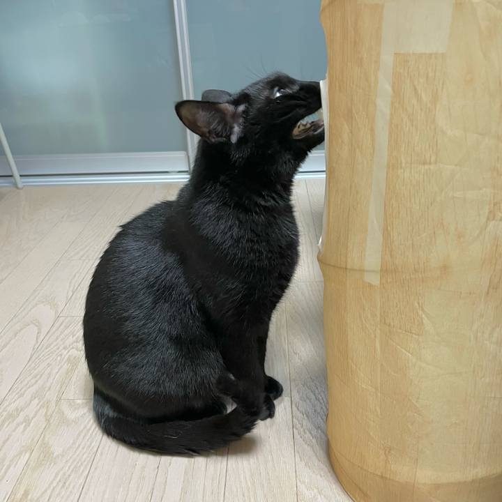 85c60024 fb9d 41e3 b3d8 0a91d2a4a8a6 1649252346839