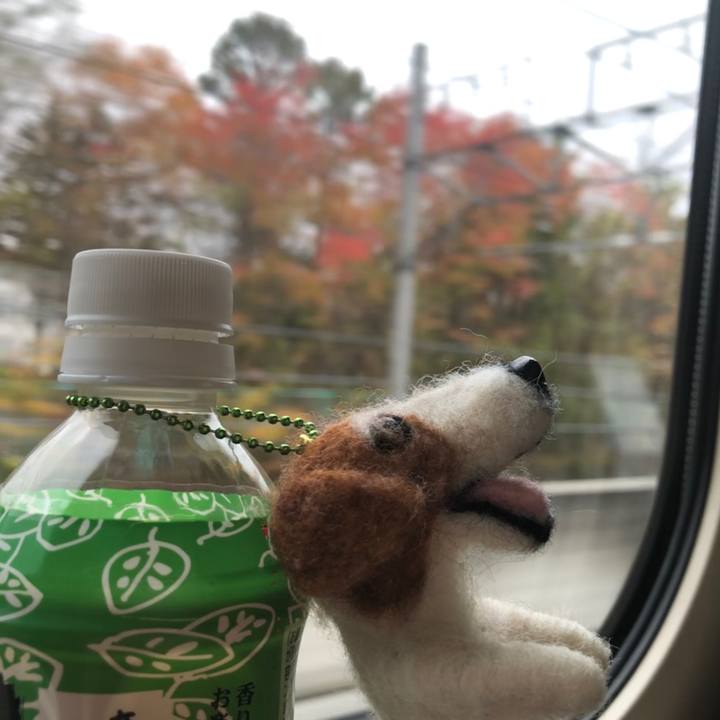 85c62aa3 cbf0 4a04 a57a 4d2e88a3c38e 1572136613894