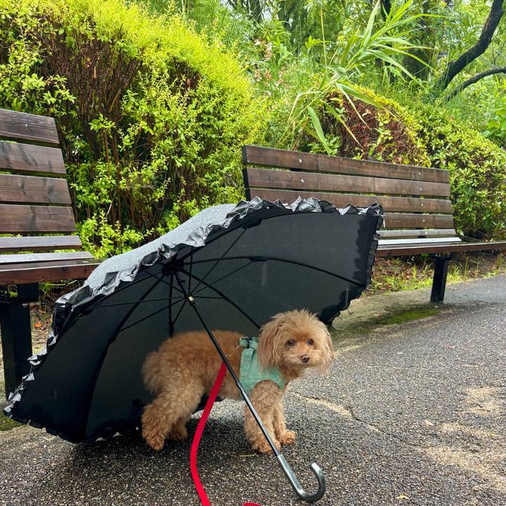 85c635bc 2fc3 4fa3 a43e 558bbeca02d9 1752744977404