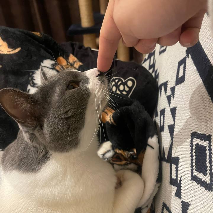 85c68bfc 1fec 48c2 966f 6a0957430d0a 1737188219303