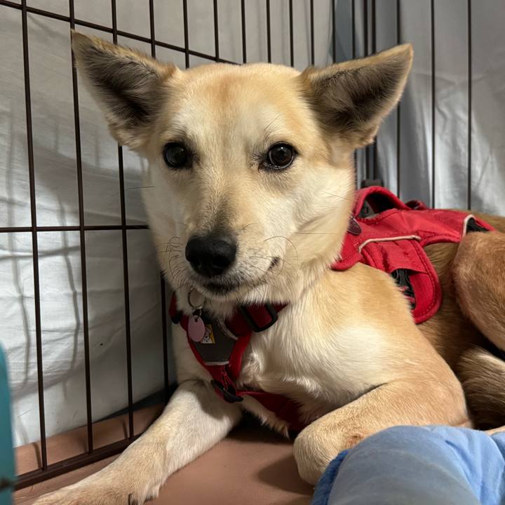 85c68c32 bab4 455c 9f6c b4fad061acb7 1772494030068