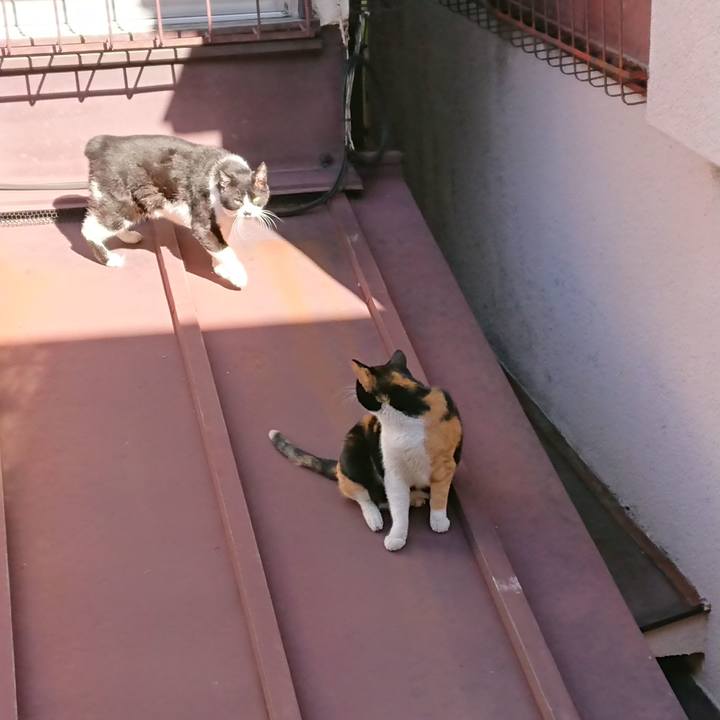 85c6a9e8 8bb7 4b78 bb95 17aefaf919e7 1581216646595