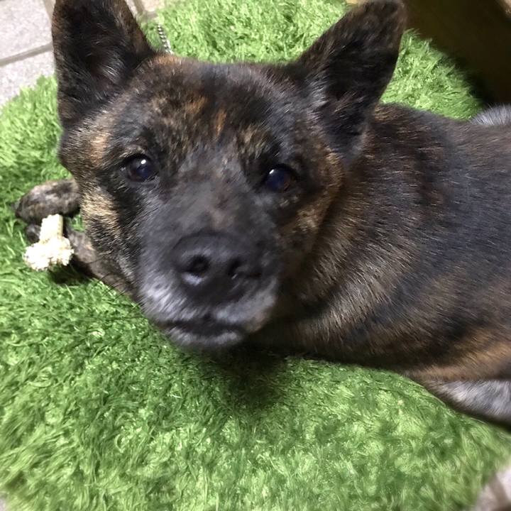 85c6cc2e b62e 4409 b66d 9d66755a0df0 1545744855349