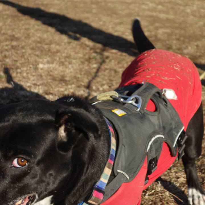 85c6ee9c 8e29 4f0f a463 7cc2262a8497 1646010940688