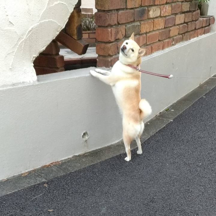 85c6f5be 2628 4f9d a46a bb67f9030971 1601416787952