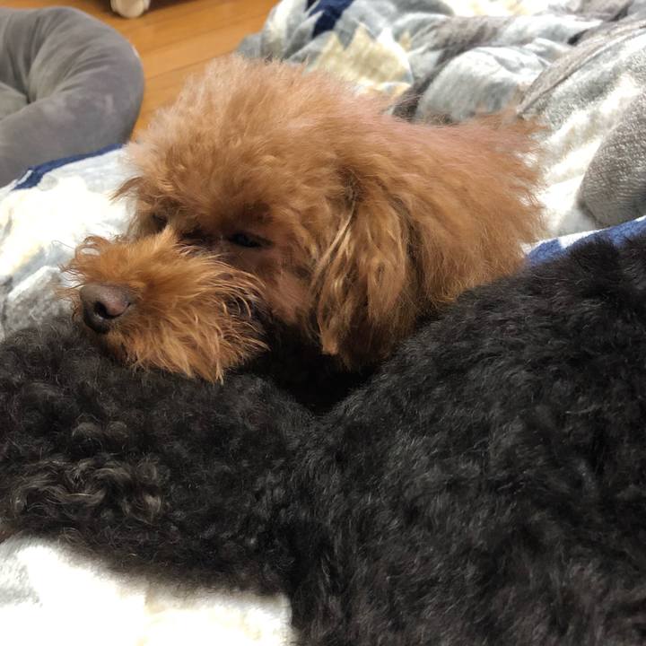 85c72752 d6a2 49a4 ae8c 6cd37ab89167 1607167169497