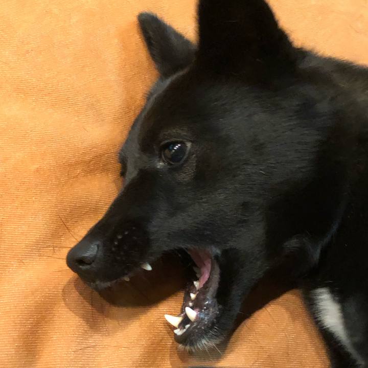 85c73bce fbb2 463f bc92 d03faa78f27b 1542716782784