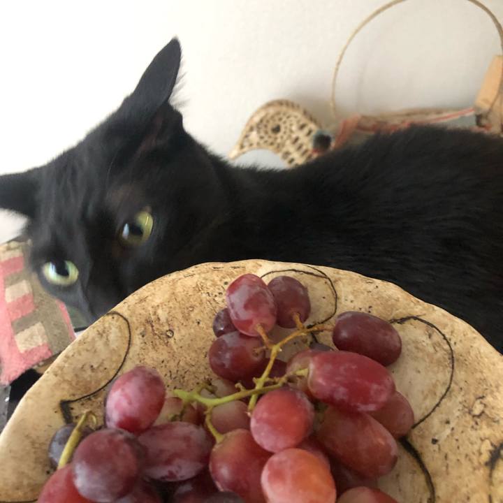 85c7562f 7845 4e52 be57 3ab6fc879728 1591569373174