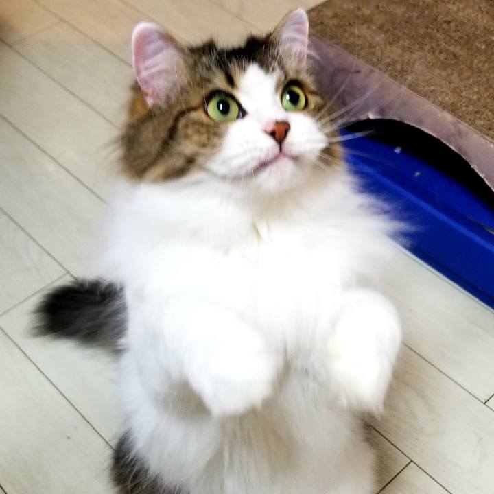 85c77e4b 5dbf 45cb b51d e865a0778f06 1571572584423