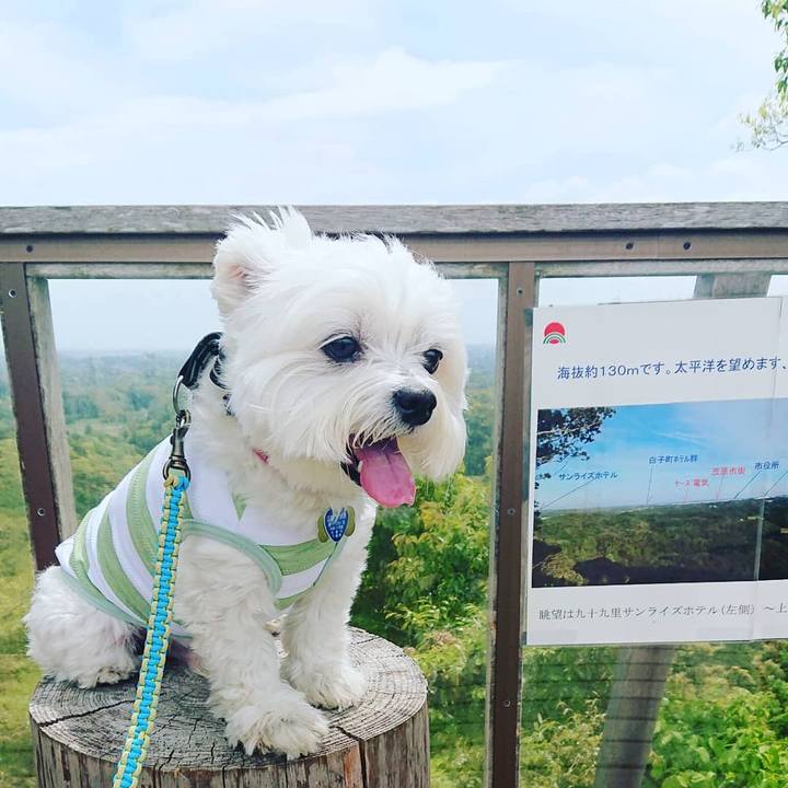 85c7ad33 b54a 4fa0 8b28 72dca5d299e5 1619582591633