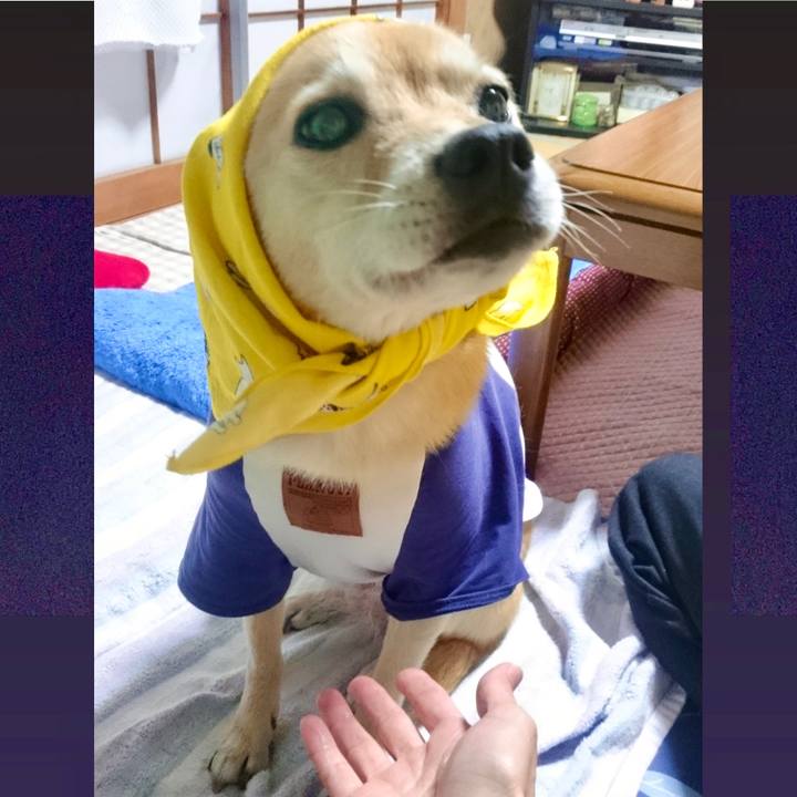 85c7c35b 472f 45e6 8640 c03d6b1cab3e 1617431825903