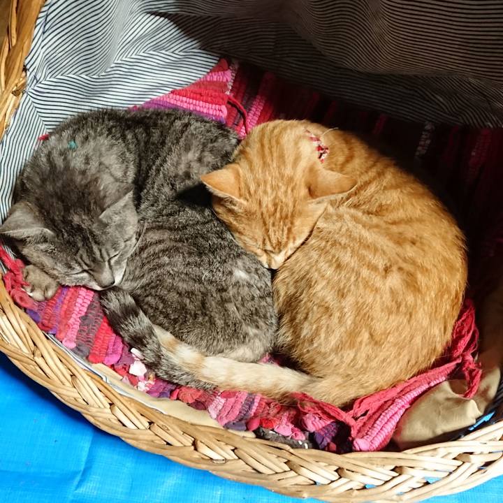 85c7e42c 64a2 4321 92ce 19554974dfdb 1561802190770