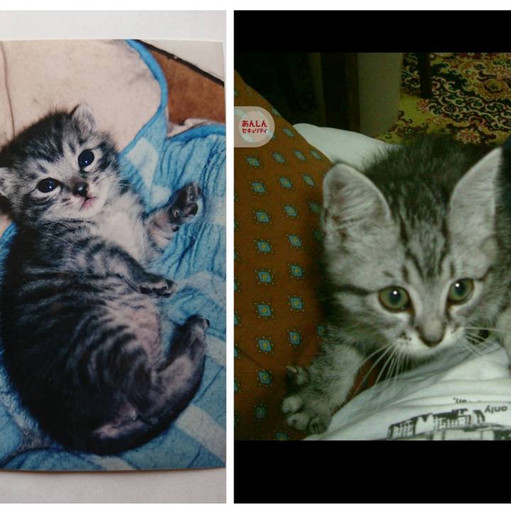 85c868f8 7232 4a39 a9fb 22461b3c2edf 1705378223775