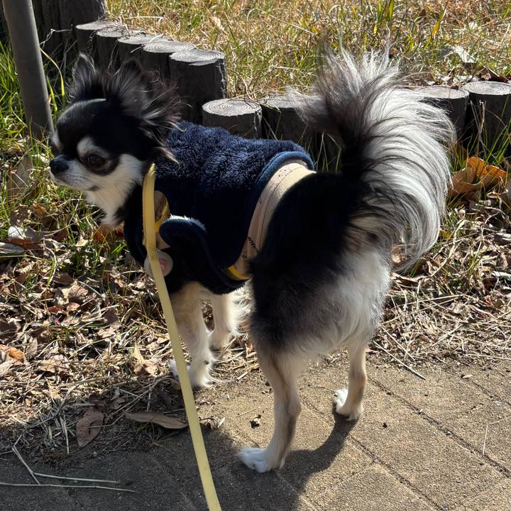 85c87ffe dbdf 4a65 8606 74a280be2be2 1740241682559