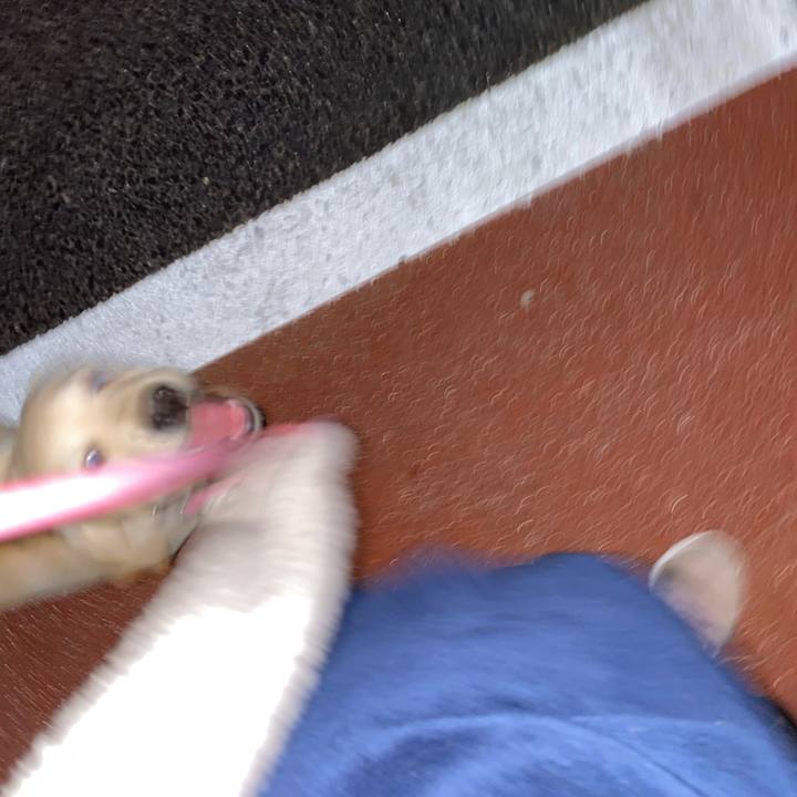 85c8dbb5 82ee 4130 81e7 497322836d9a 1613901534937