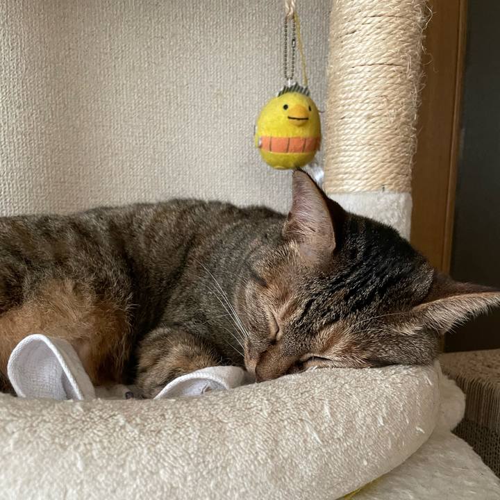 85c90222 0e54 4a8f 997f 7d90b83cab6c 1657778594881