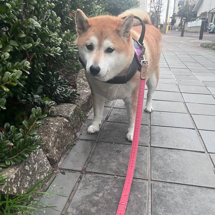 85c92927 2b00 4ea0 b3fc bb9215e27c2f 1709195905860