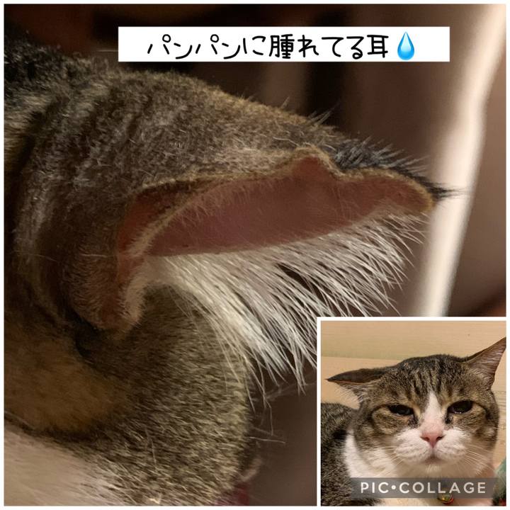 85c965d2 93b4 4417 97f3 a10a020da6a1 1683417910500