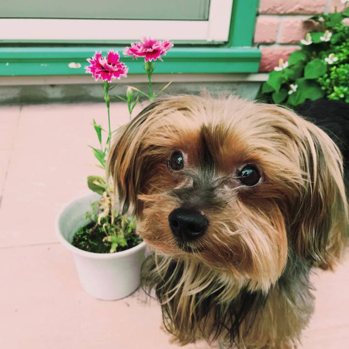 85c98ea7 27b2 4913 94a1 984bef12306b 1527494631323