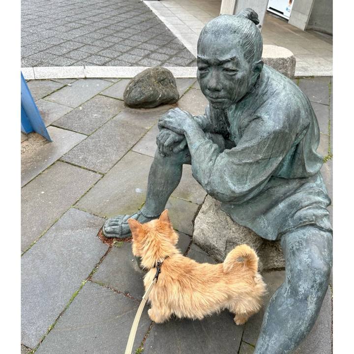 85c9f0ba 9aed 4c34 9b14 226b5a8b9df7 1711589050966