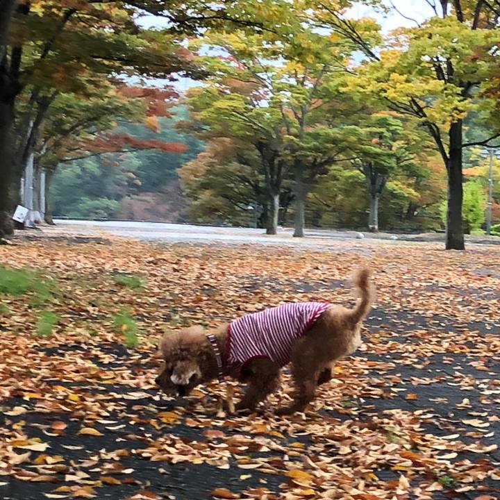 85c9fdae be6b 4514 8c16 3ff6fa015459 1571896296930