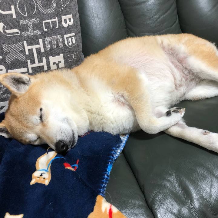 85ca1eb3 2804 4197 bda0 5b055d39b492 1609248933527