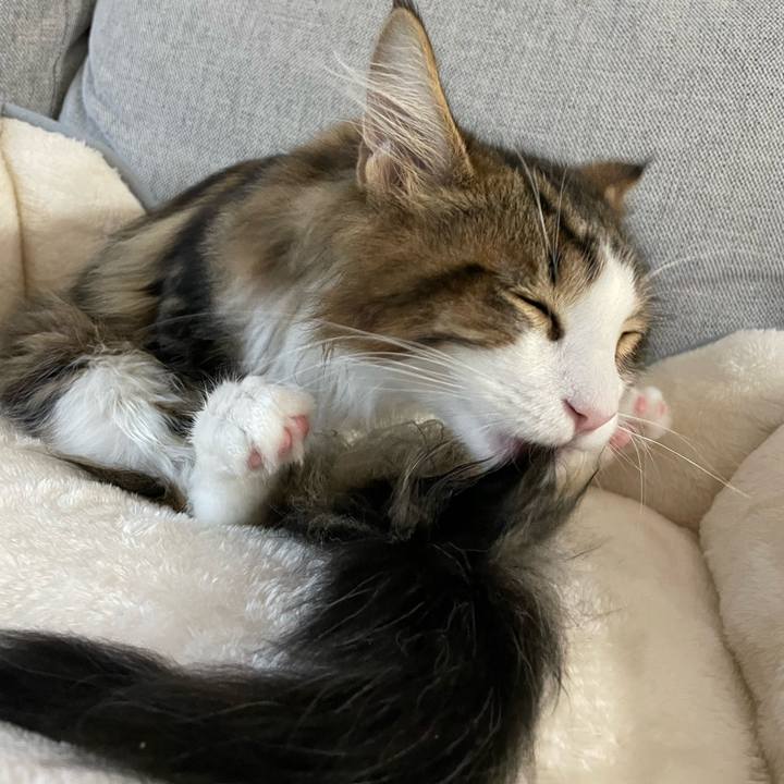 85ca2830 bd2a 4d2f aec2 ed27410f53ba 1636869665495