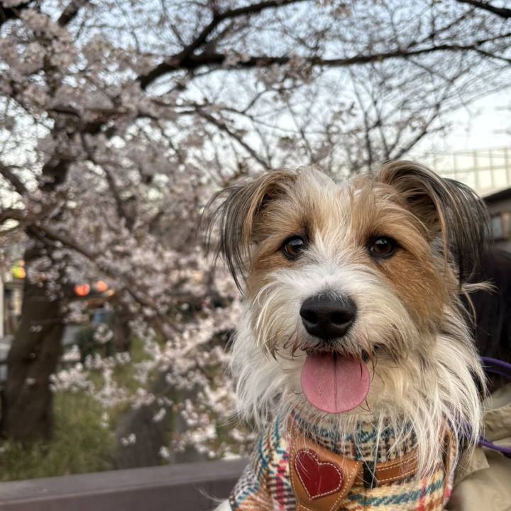 85ca517f dceb 43a2 b246 c2ccb1853781 1774258666527