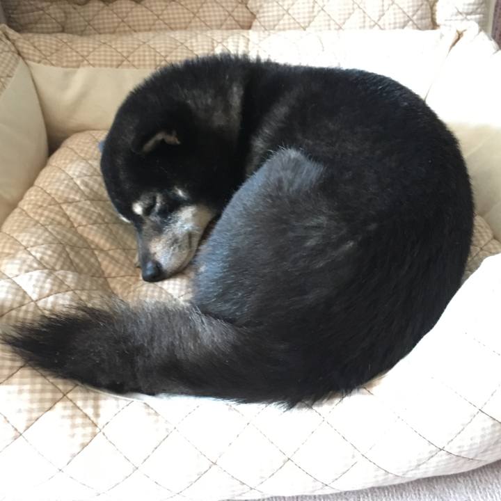 85ca8967 0c53 47e0 9f67 446a3804fb05 1519699098697