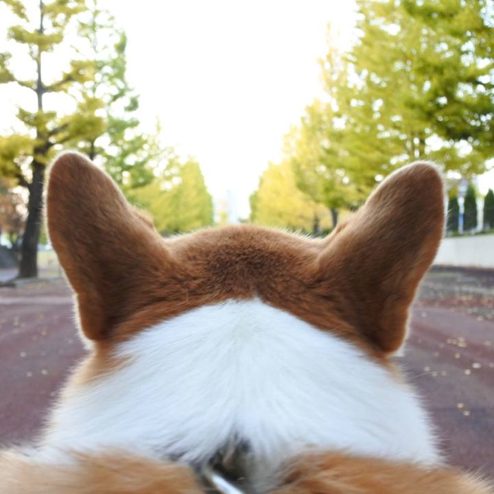 85caa7d9 9f2e 40ea bcf2 de28478d3e80 1635774972613