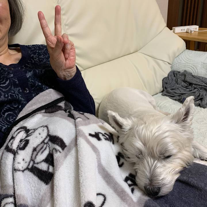 85cad855 3aae 44cf 8cd8 5d31373c4183 1571927902607