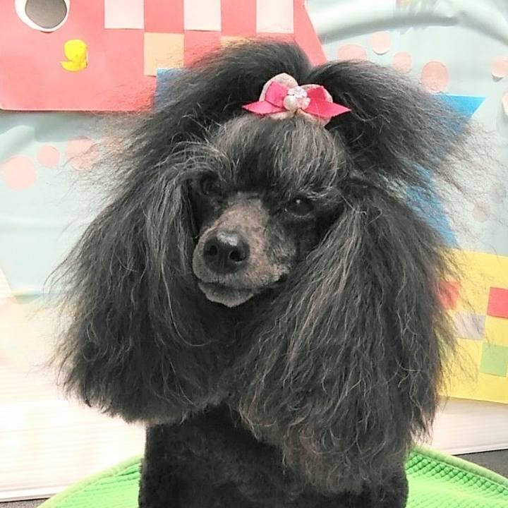 85caf73f 8594 47f6 b115 ab41d3b5546f 1683783948186