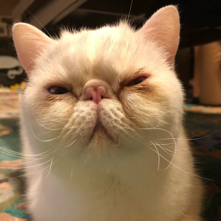 85cb0e9c 4e60 4331 aac1 670bf9837ab0 1637408601100