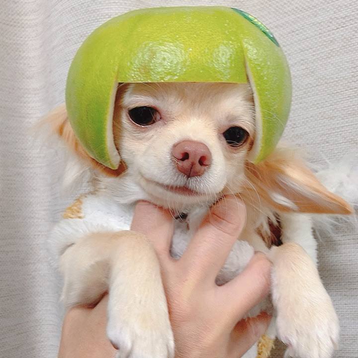 85cb183d 7f74 4970 b125 86198c877b79 1609676321582