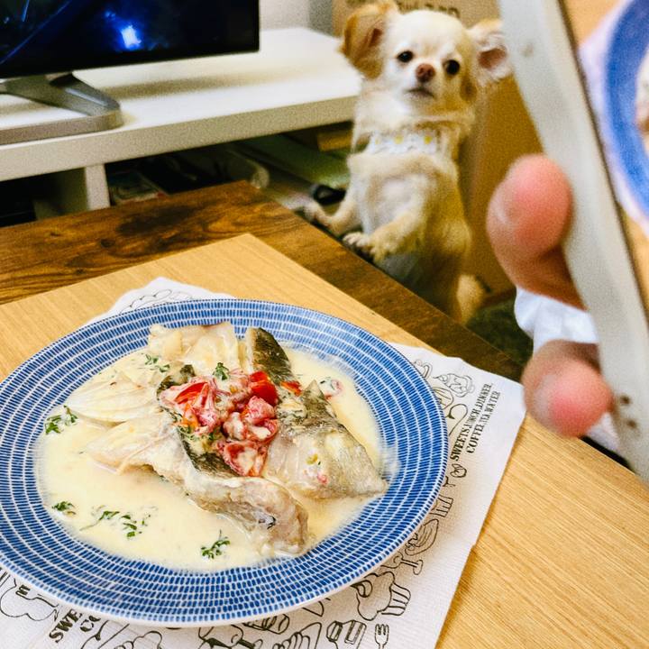 85cb54ad 84e7 464f 8c3d 36552e4b4f1e 1682411342105