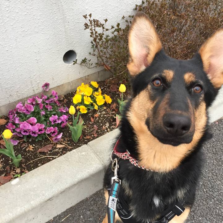 85cb6684 84f5 4de7 b2d0 eb2bd82c10ea 1520378401390