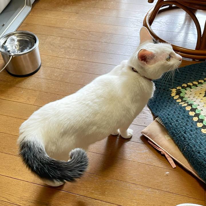 85cb716f 1f54 4baf 9fc2 da193a6448ab 1748472771621