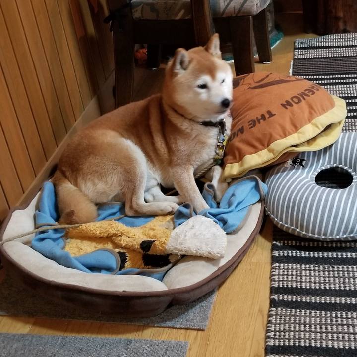 85cba85f ab11 44f4 a92e 30faf09f75c5 1618384155544