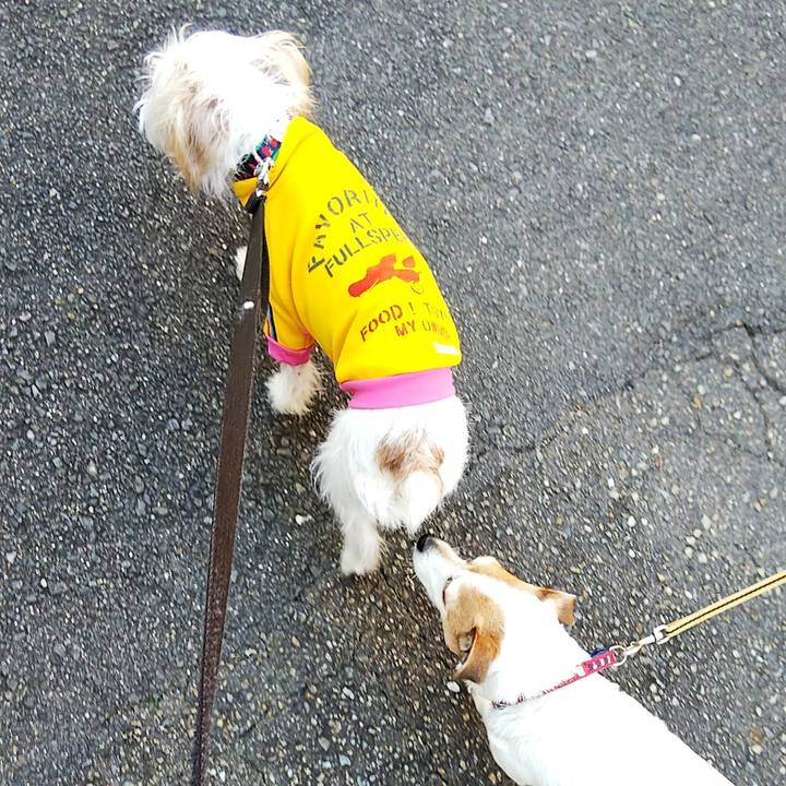 85cc501d cbf2 49d7 96e9 cfc9d05b4b29 1542521700901