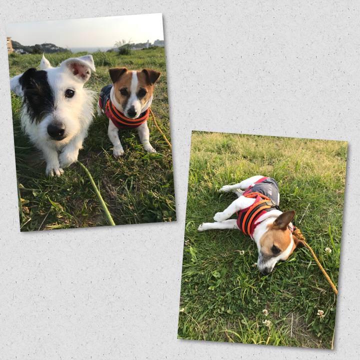 85cc7e1a 00c9 4d6a bee0 635a1f5bef95 1524386477558