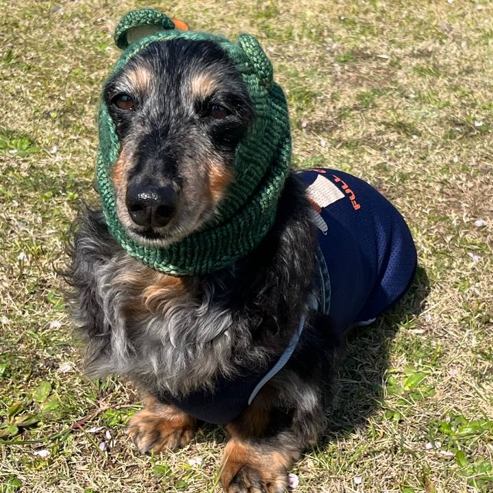 85cc7e5a 7c35 45f9 88b8 35fbd9a70ebd 1680358145442