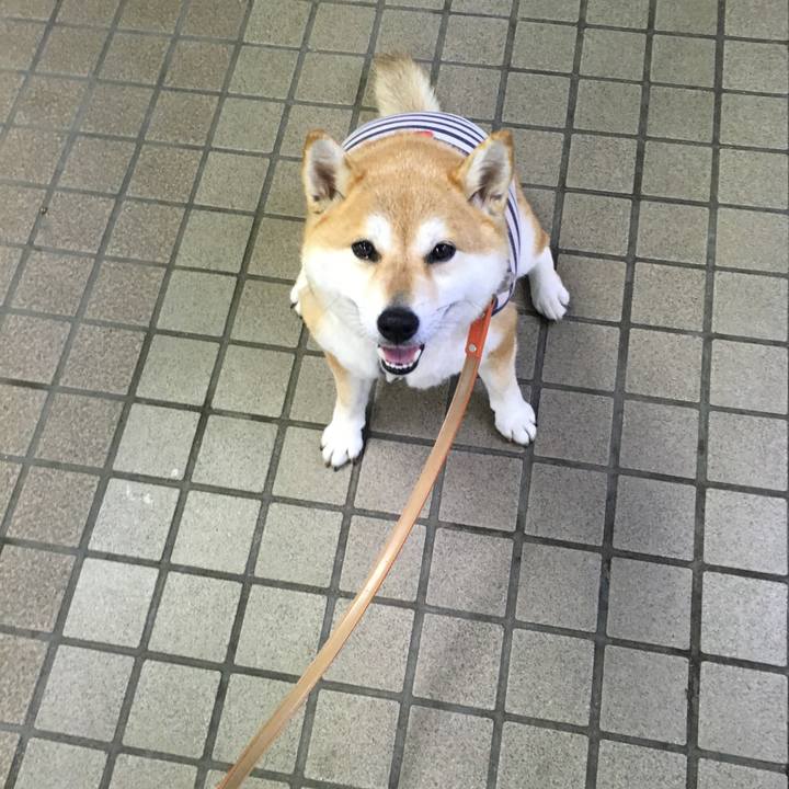 85cc871d 1bb4 4454 86ab 90695c595bb2 1563009302900