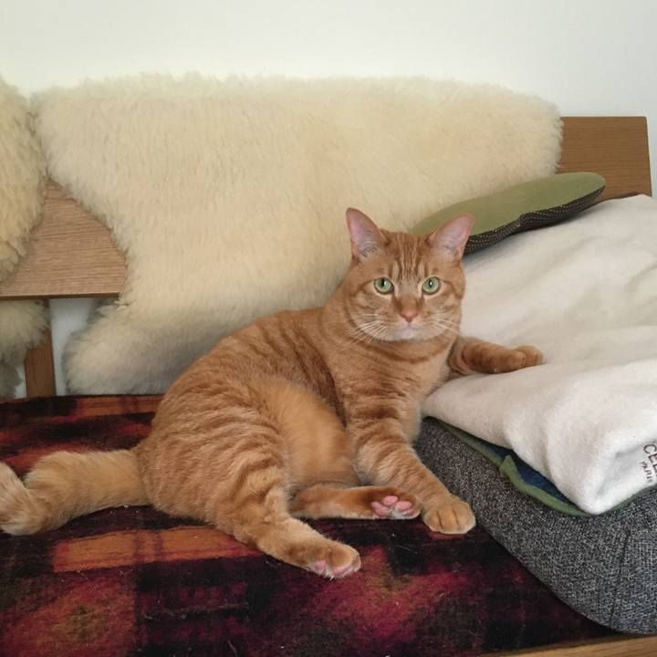 85ccaeaf 12f1 45a1 b735 a1c82255b94b 1613953379398