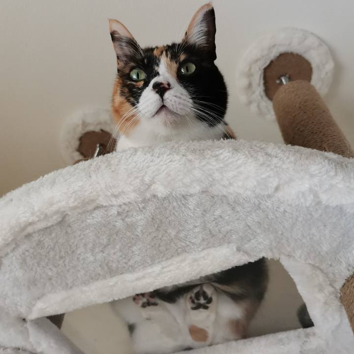 85ccd161 b408 411c 8a57 49df2487a8b9 1674357911201