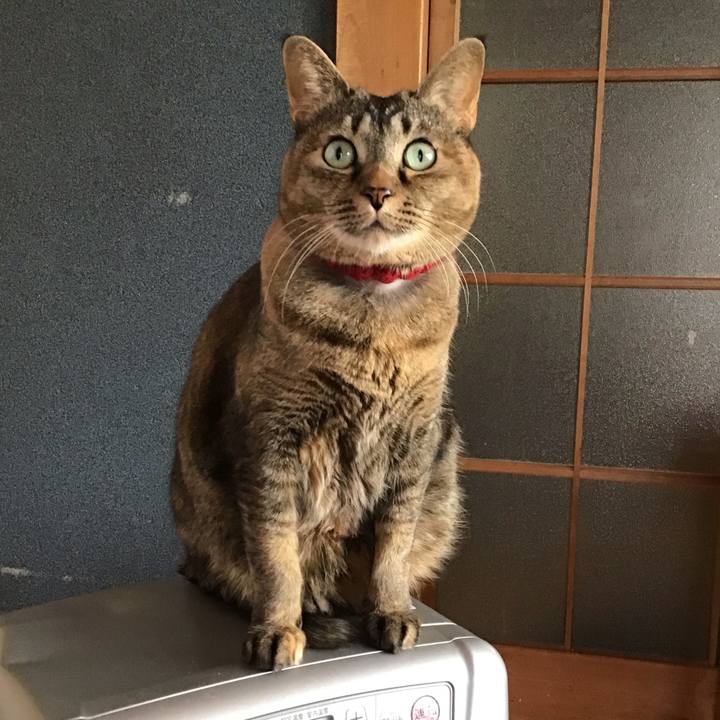 85ccf3f6 947e 45c1 ab13 392cd9ce3cd9 1738976402979