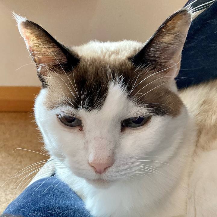 85cd1be2 5090 4209 adf5 e6b5f0c37e39 1675643320260