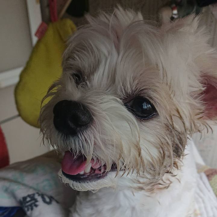 85cd2129 0022 4a06 88b6 829cee20bd03 1597197849861