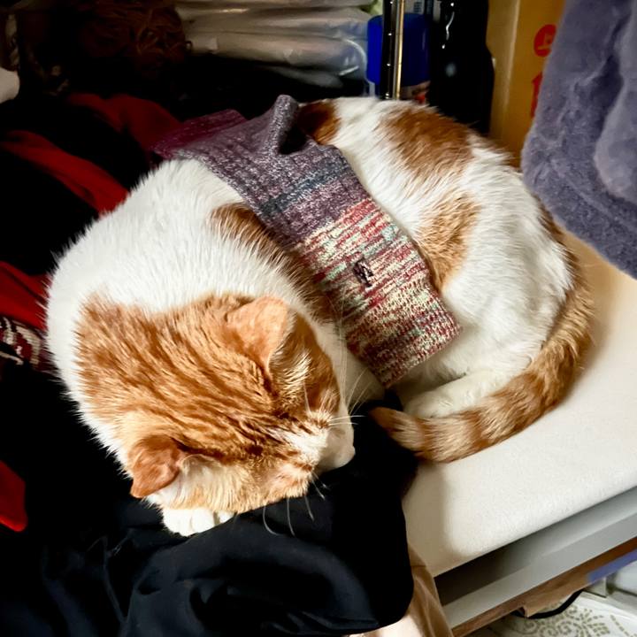 85cd3b5b 9539 4d90 b9bf c0fc4acb5e7a 1765801535260