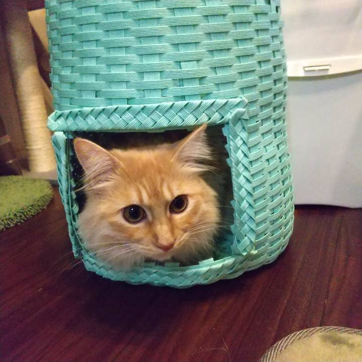 85cd481d ec5d 49f0 a9dd 6bd2c8418521 1647822421241